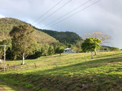 photo 4 (5).jpg